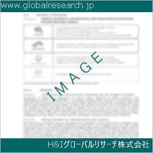 グローバルリサーチ調査資料のイメージ